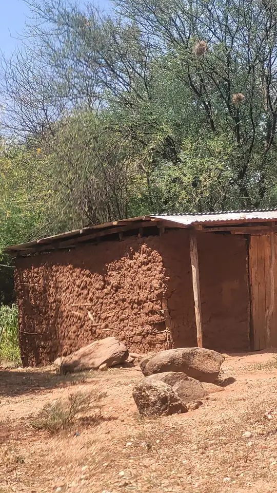 A mud-brick homestead beside the road